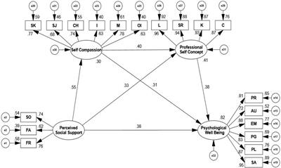 Perceived Social Support Promotes Nursing Students’ Psychological Wellbeing: Explained With Self-Compassion and Professional Self-Concept